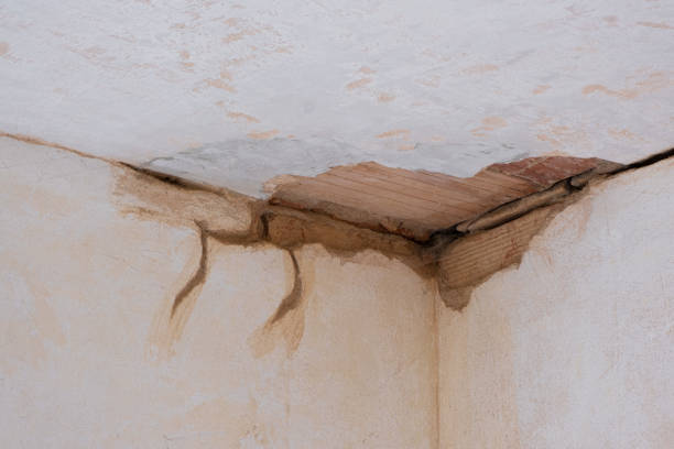 Best 24-hour water damage restoration  in St Ansgar, IA