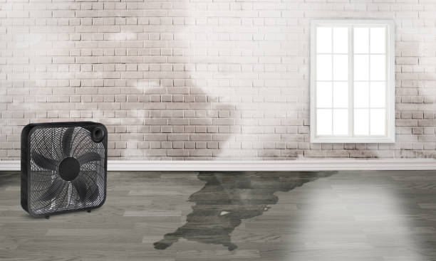 Best Commercial water damage restoration  in St Ansgar, IA