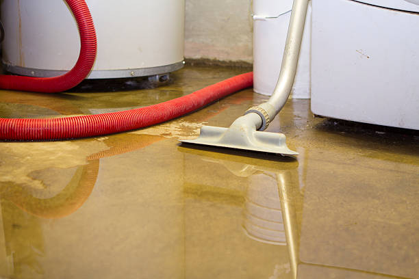 Best Water damage restoration near me  in St Ansgar, IA