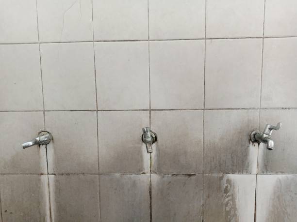 Best 24/7 water damage repair  in St Ansgar, IA